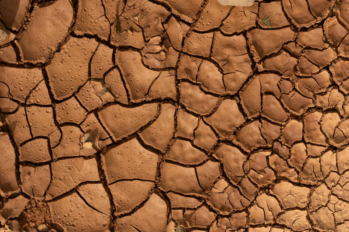 How to Fix Clay Soil for Raised Beds