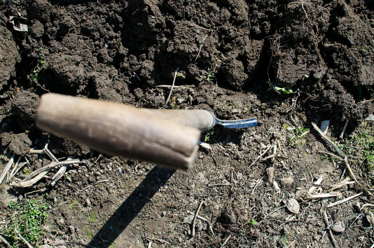 Garden fork standing in a freshly turned pile of dark soil and broken down organic material
