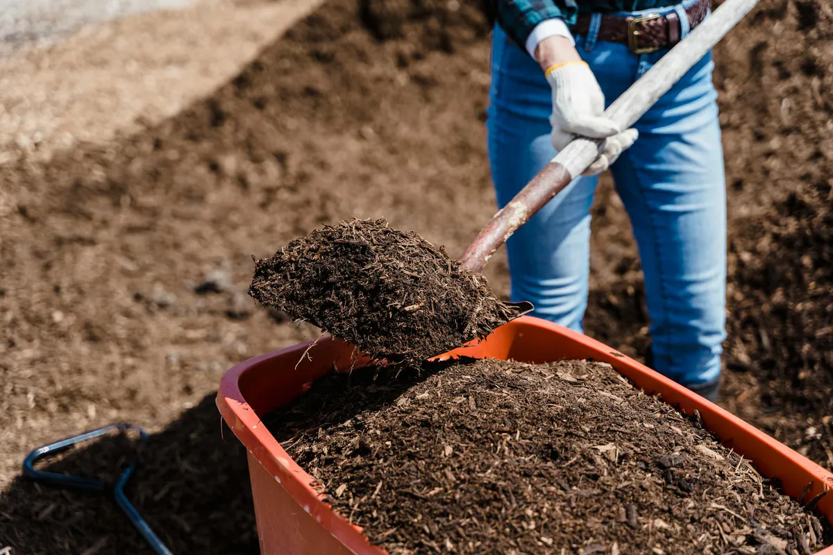 Compost Bin vs Tumbler: Which Should You Get?