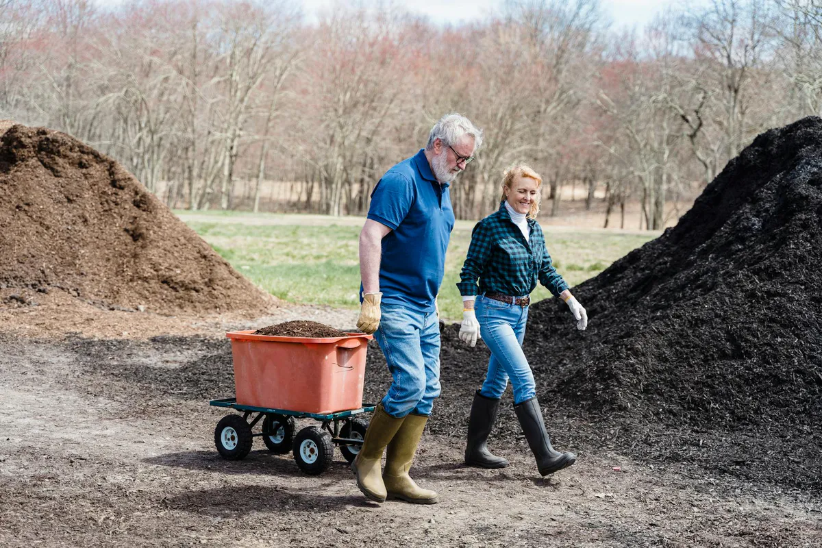 Two gardeners filling a wheelbarrow with dark soil to haul over to a raised bed