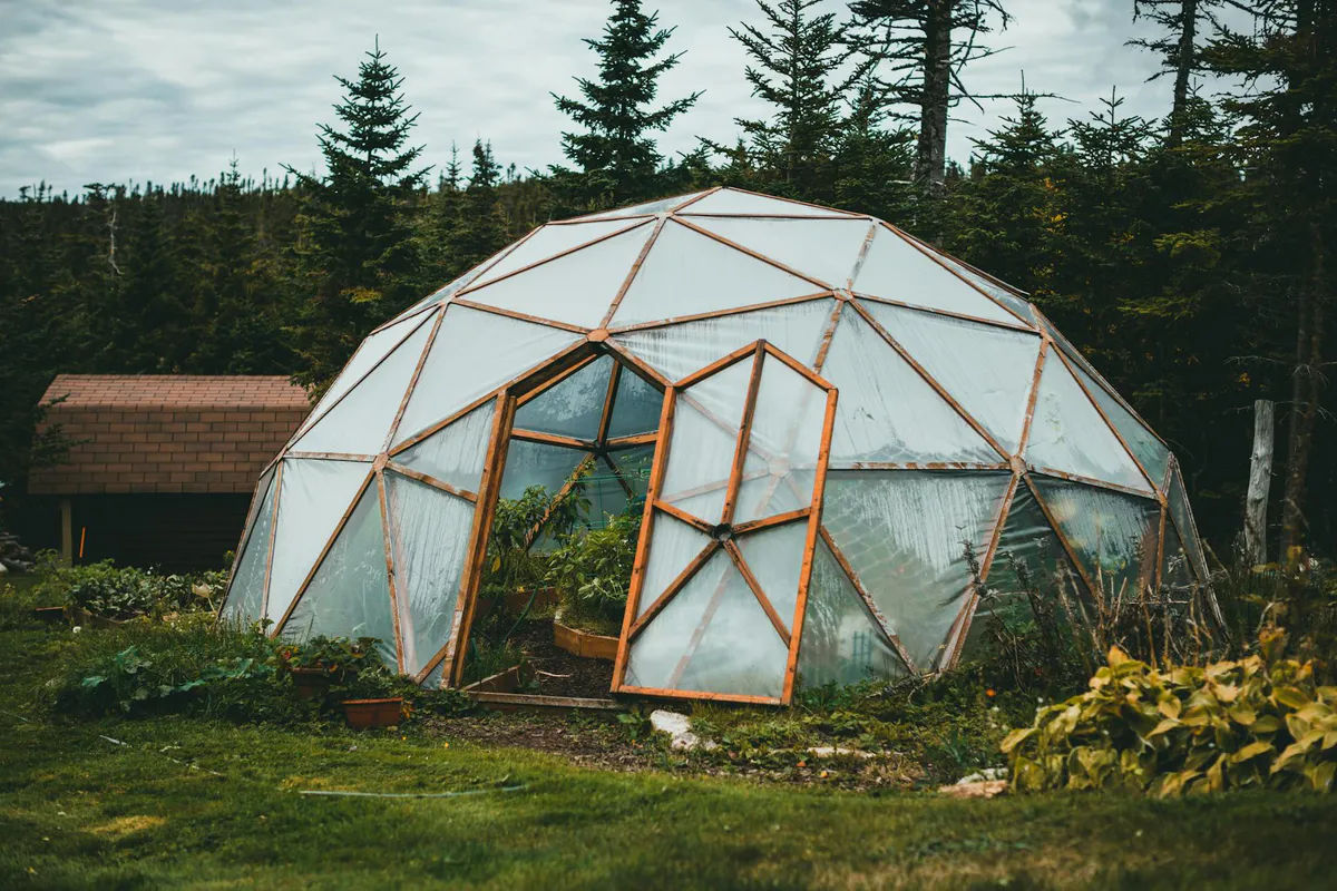 Best Small Greenhouse for a Backyard