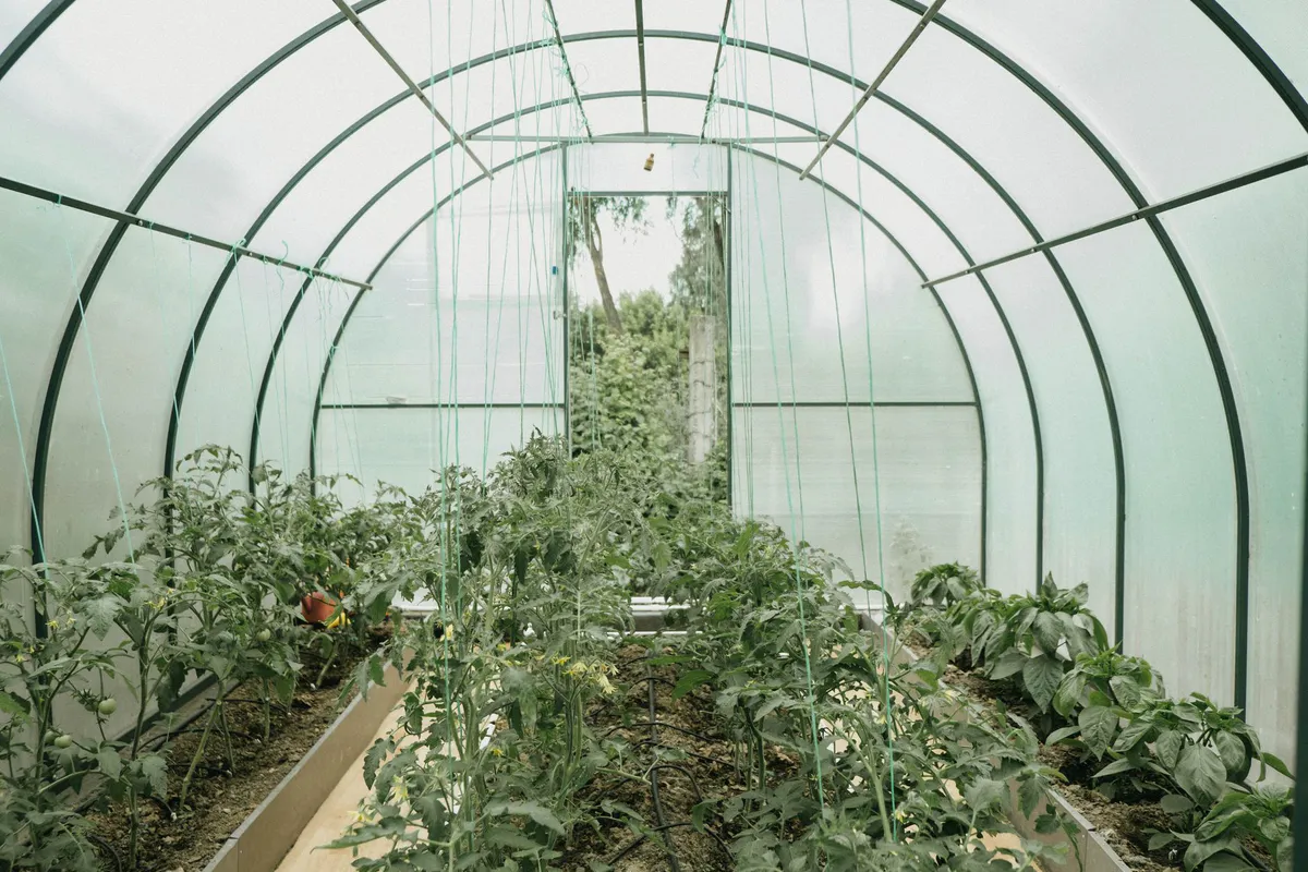 How to Heat a Small Greenhouse Without Breaking the Bank