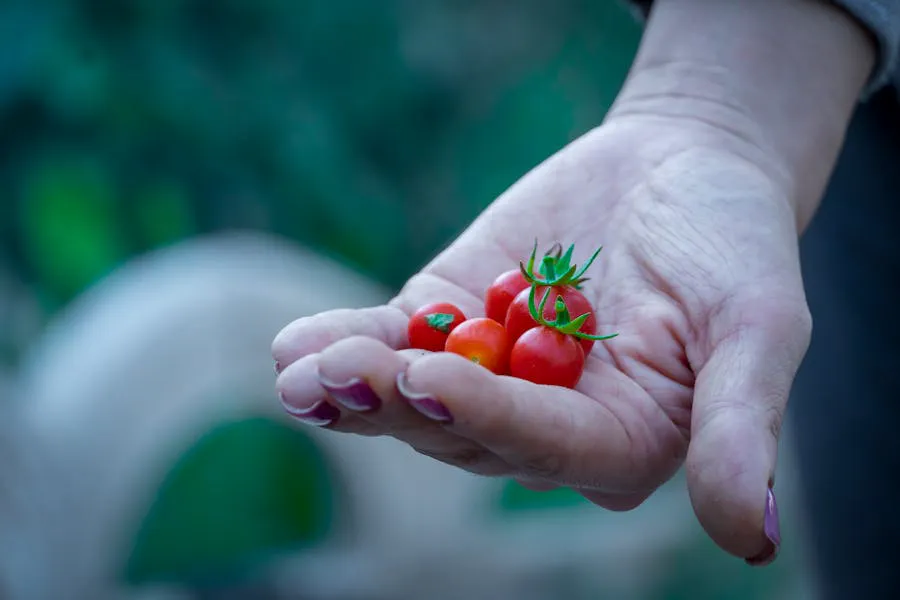 Freshly picked vegetables being gathered from a backyard garden bed