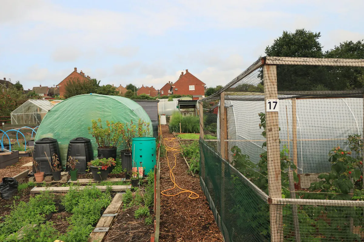 A patchwork of small backyard garden plots with greenhouses and houses behind them