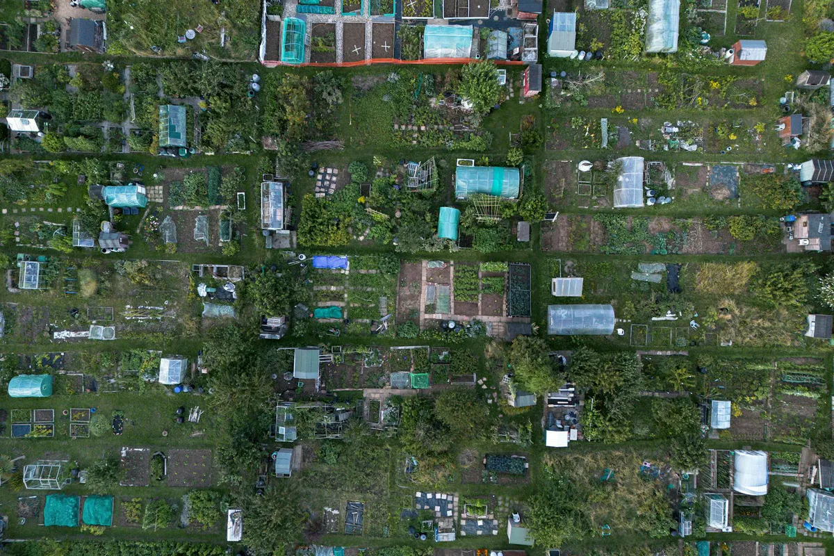 Backyard Homestead Layout for 1/4 Acre